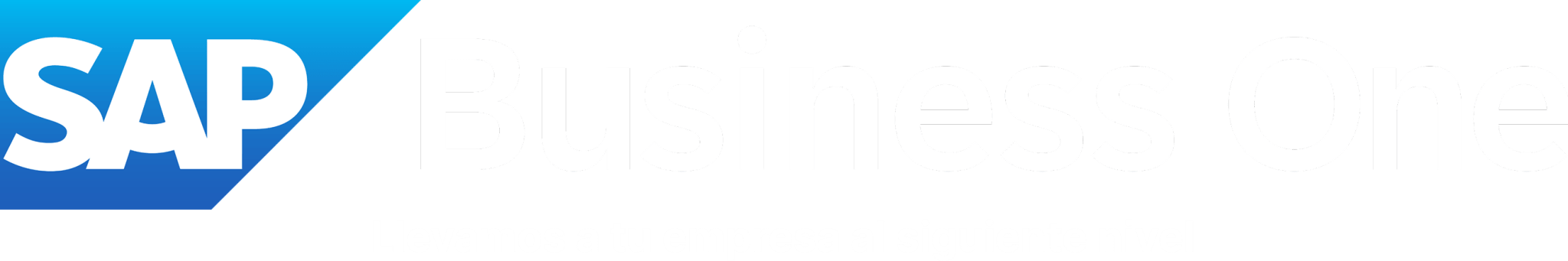 Sap Business One